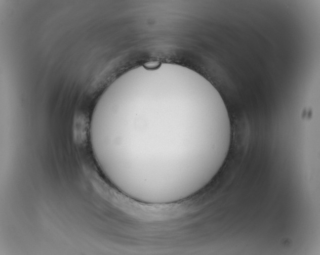 X0000111370038200907241256