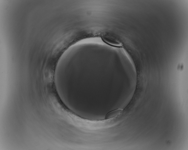 X0000111370039200907241256