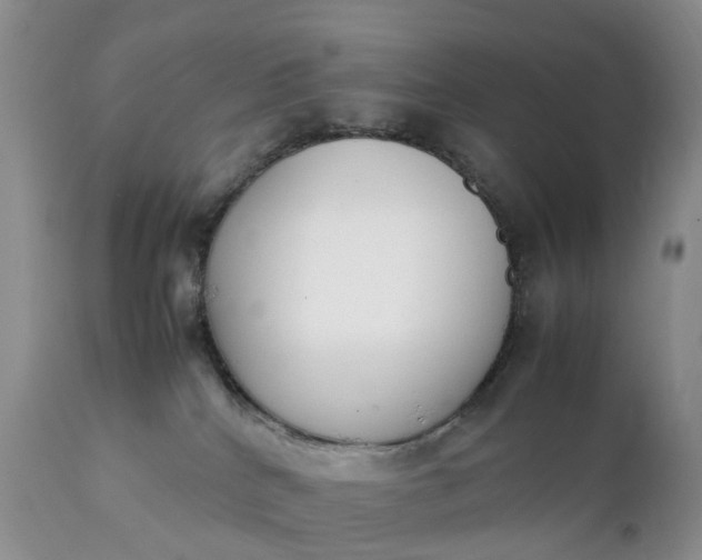 X0000111370040200907241256