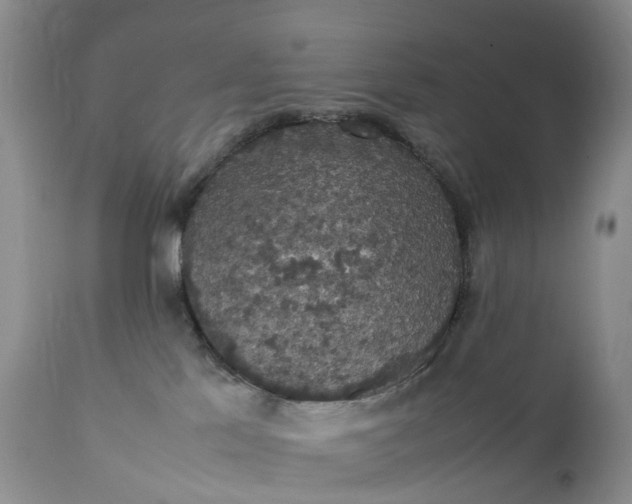 X0000111370041200907241256