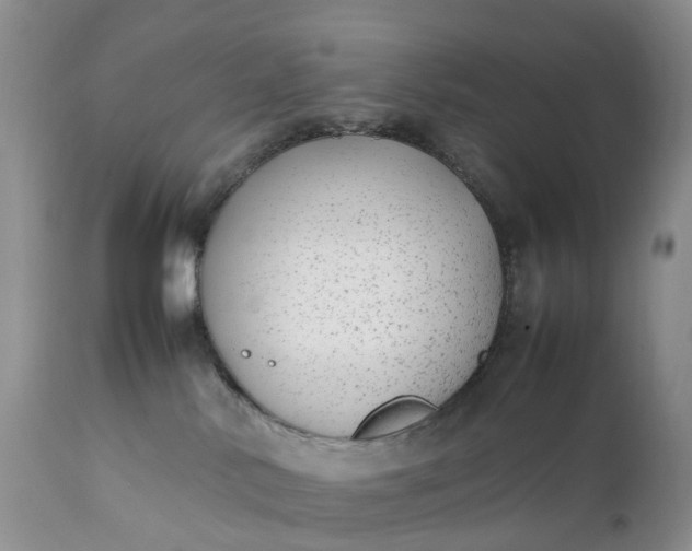 X0000111370042200907241256