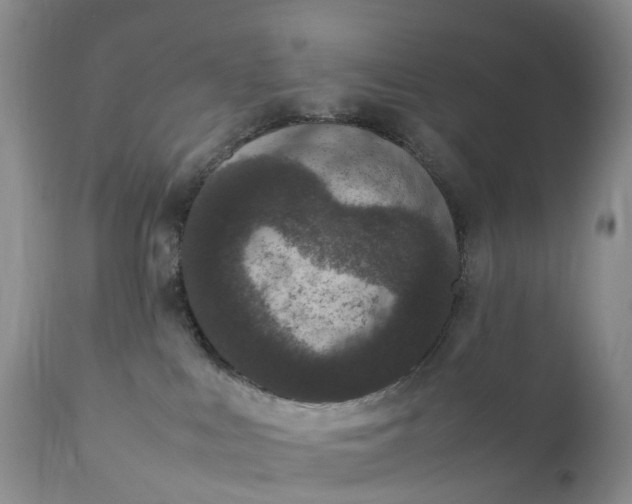 X0000111370043200907241256