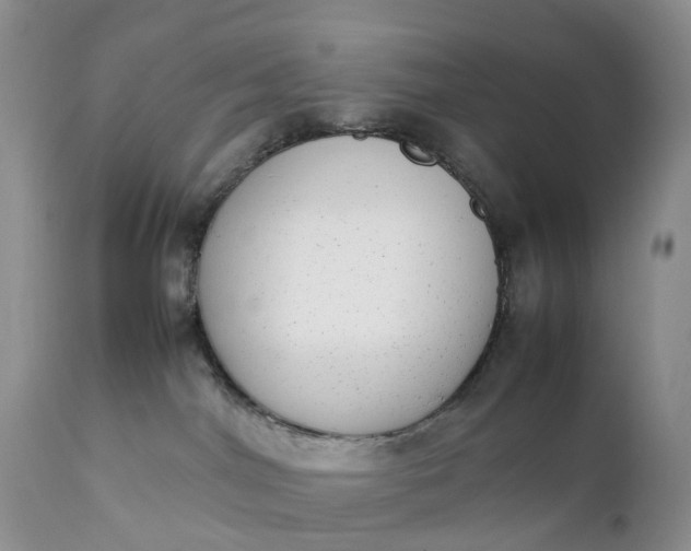 X0000111370044200907241256