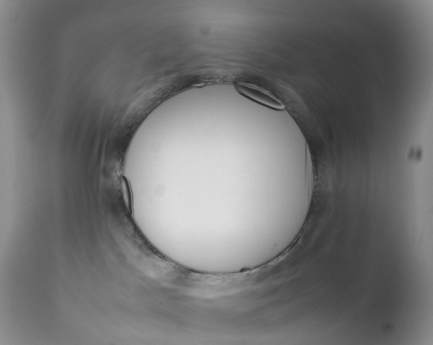 X0000111370045200907241256