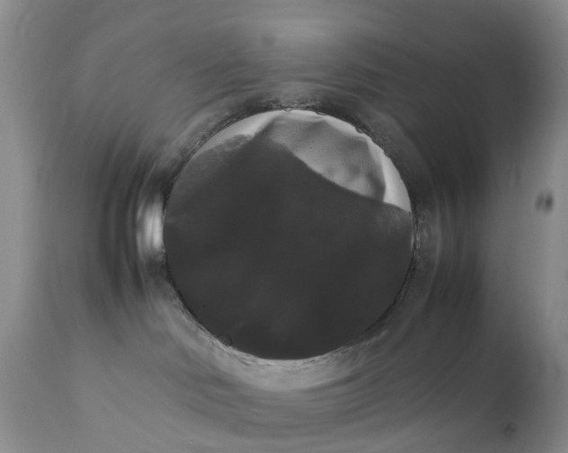 X0000111370046200907241256