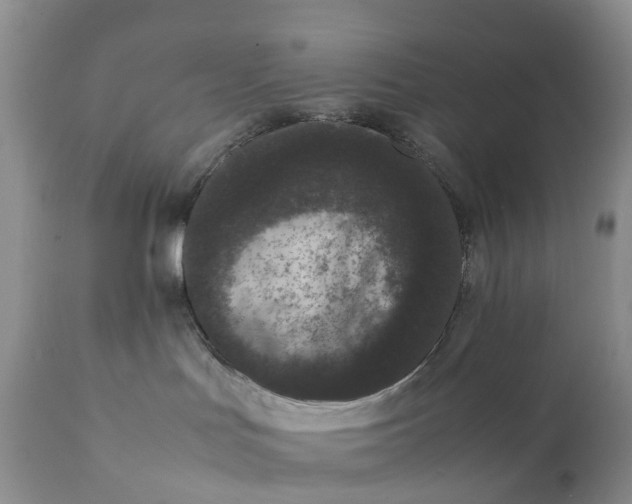 X0000111370047200907241256