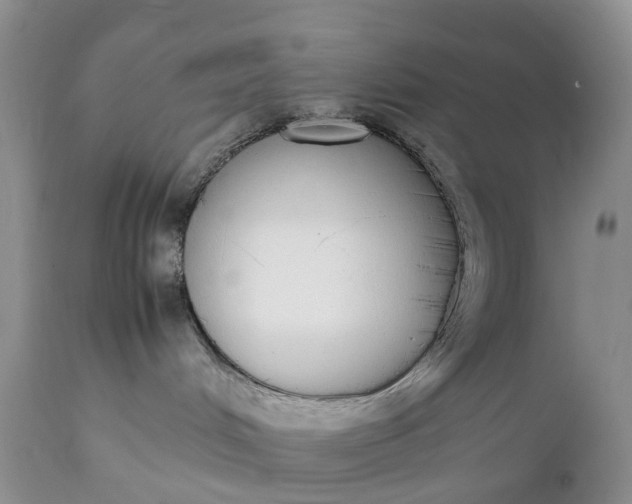 X0000111370048200907241256