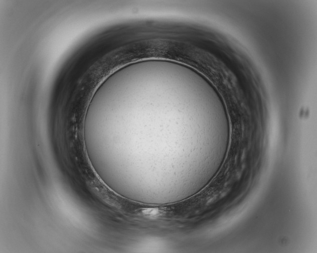 X0000111370050200907241256