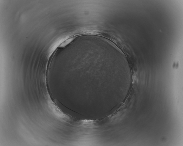 X0000111370052200907241256