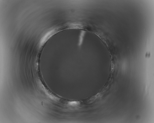 X0000111370053200907241256