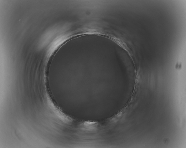 X0000111370055200907241256