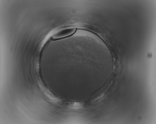 X0000111370056200907241256