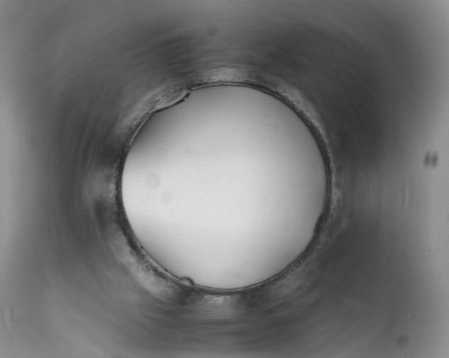 X0000111370057200907241256