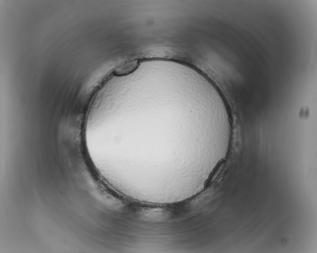 X0000111370058200907241256