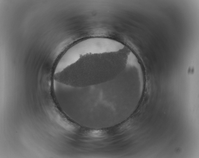 X0000111370059200907241256