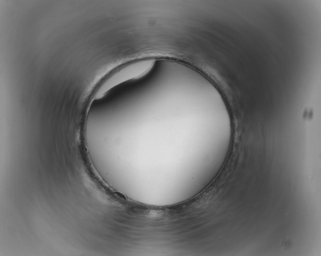 X0000111370060200907241256