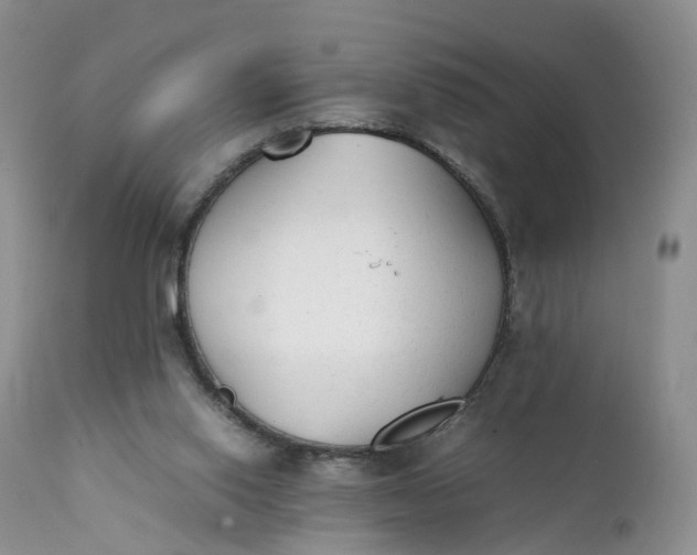 X0000111370062200907241256