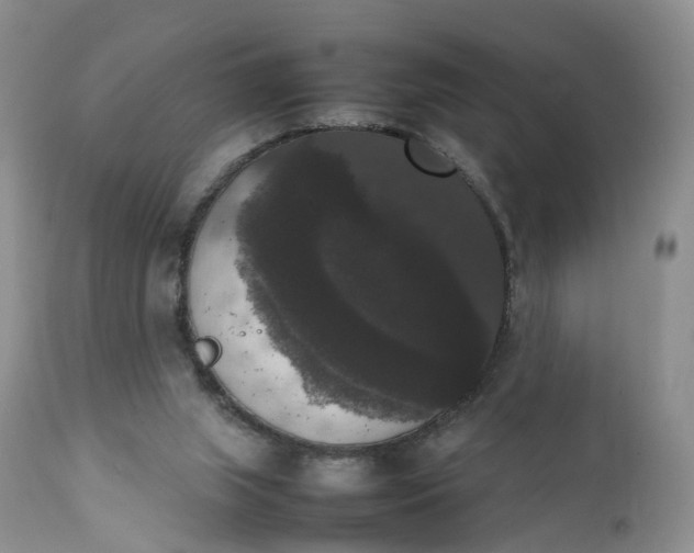 X0000111370063200907241256