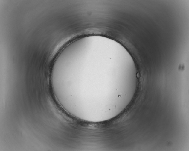 X0000111370064200907241256