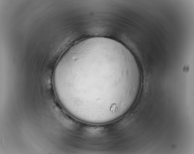 X0000111370065200907241256