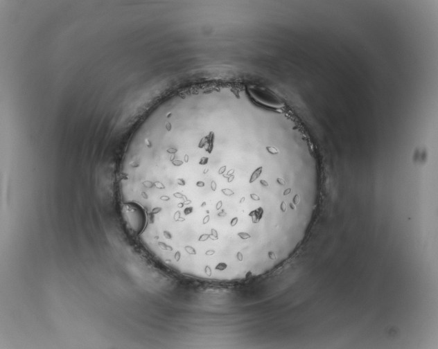 X0000111370066200907241256