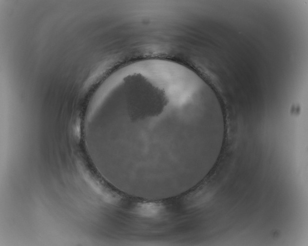 X0000111370067200907241256