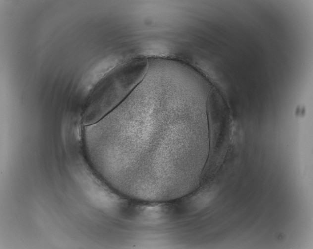 X0000111370068200907241256