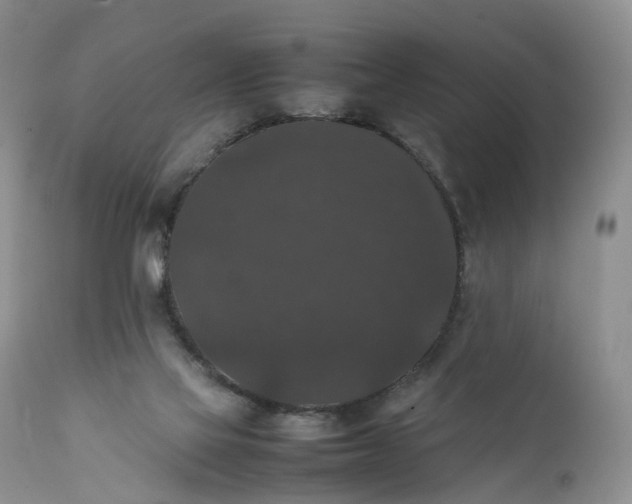 X0000111370069200907241256