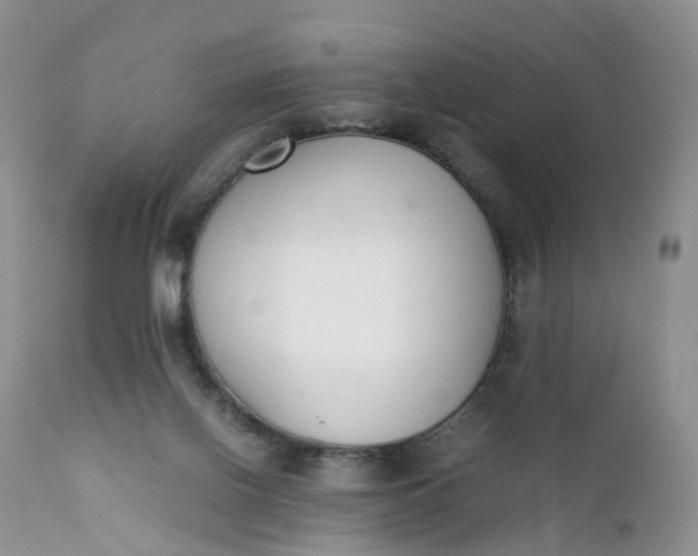 X0000111370070200907241256