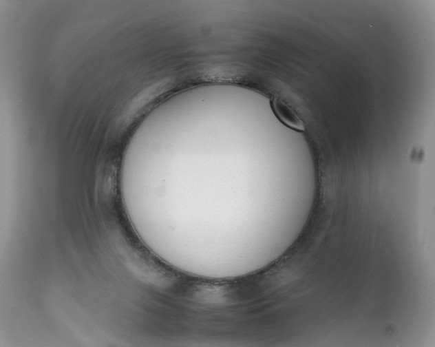 X0000111370071200907241256