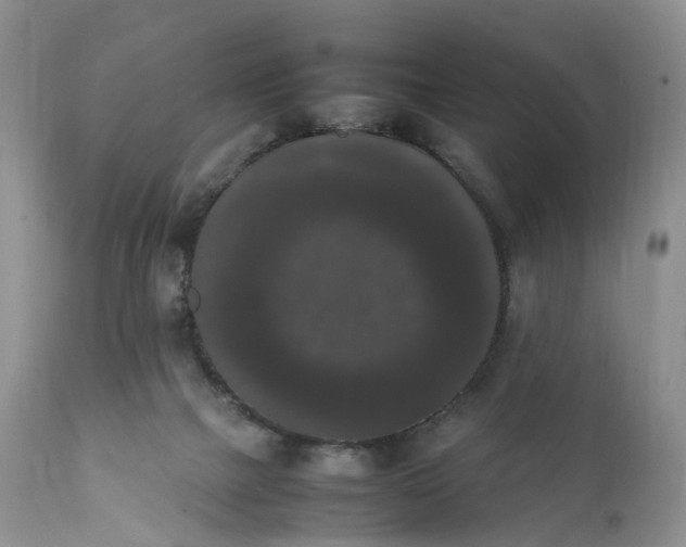 X0000111370073200907241256