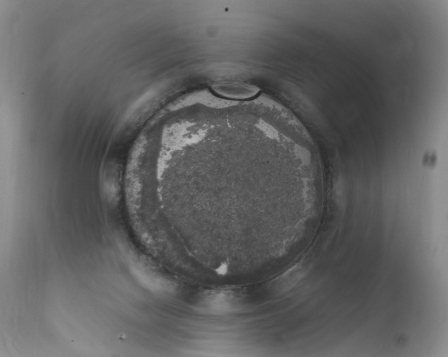 X0000111370074200907241256