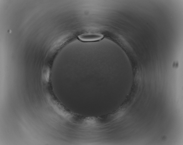 X0000111370076200907241256