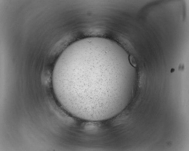 X0000111370077200907241256