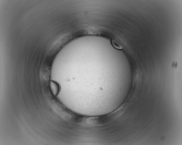 X0000111370078200907241256