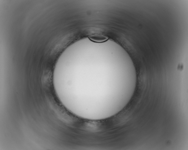 X0000111370079200907241256