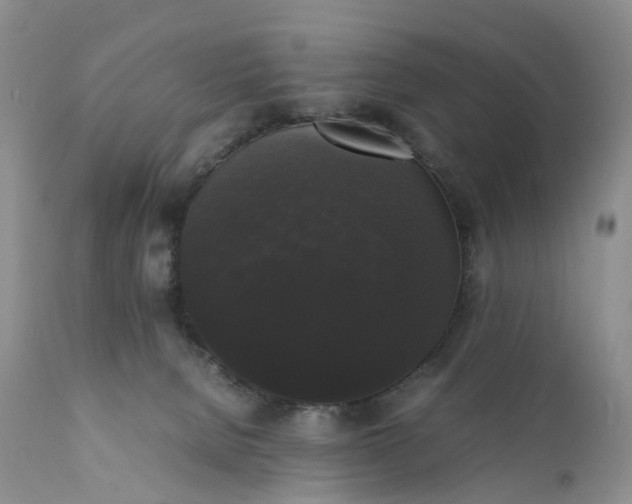 X0000111370080200907241256