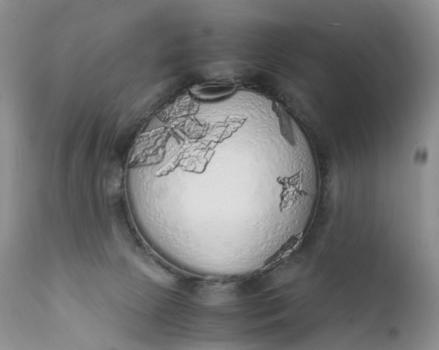 X0000111370081200907241256