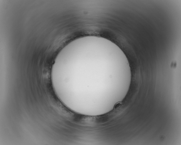 X0000111370084200907241256