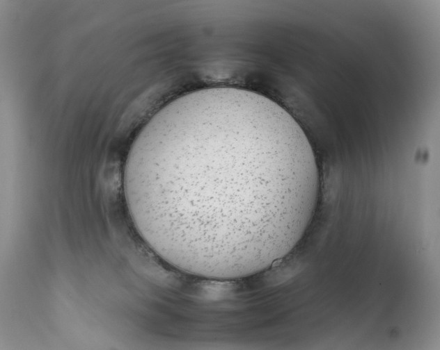 X0000111370085200907241256