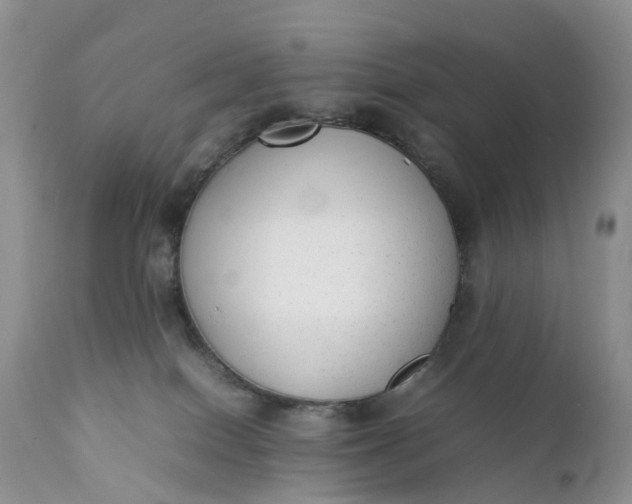 X0000111370086200907241256