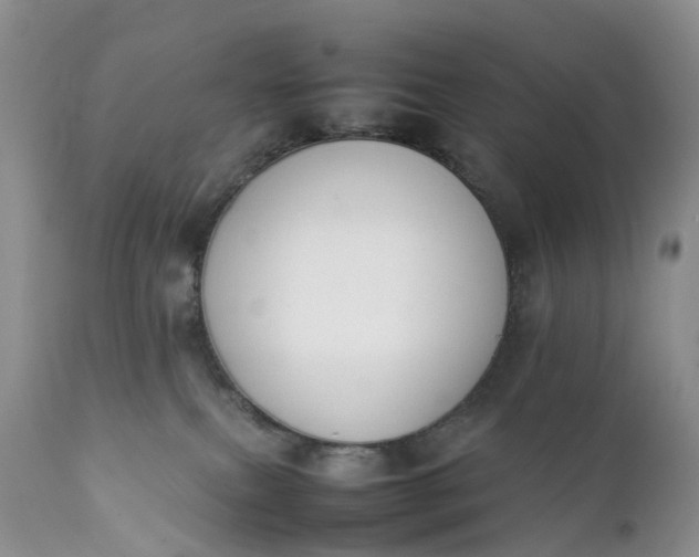 X0000111370087200907241256