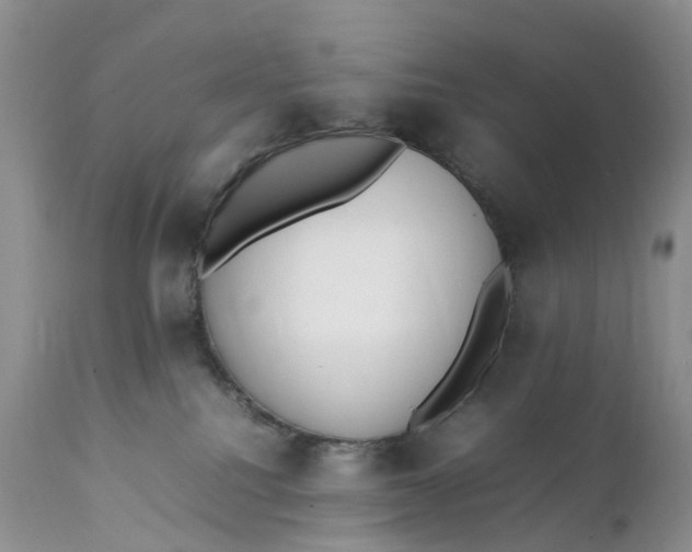 X0000111370088200907241256