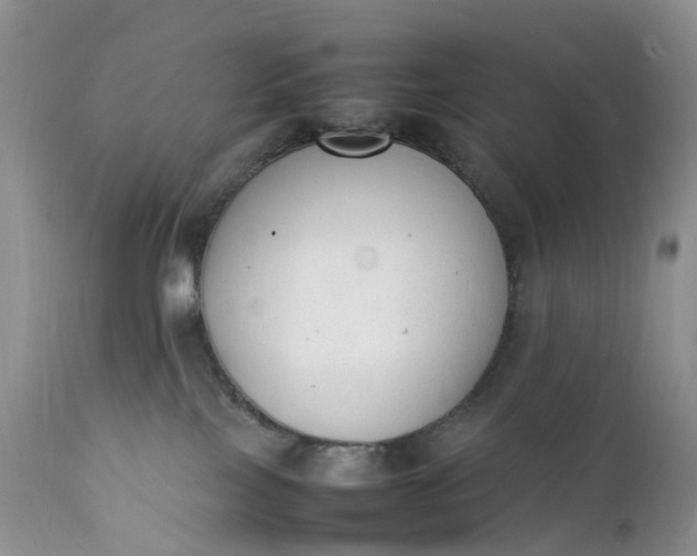 X0000111370089200907241256