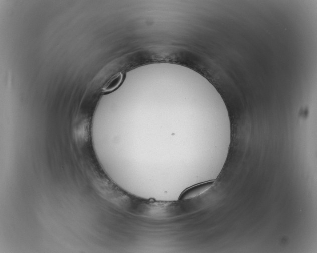 X0000111370090200907241256