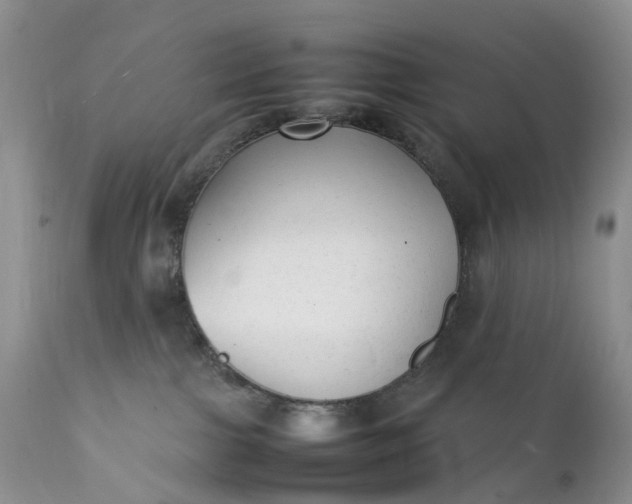 X0000111370091200907241256