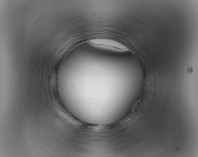 X0000111370092200907241256