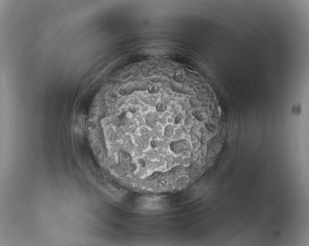 X0000111370093200907241256