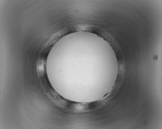 X0000111370094200907241256