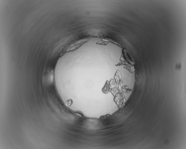 X0000111370095200907241256